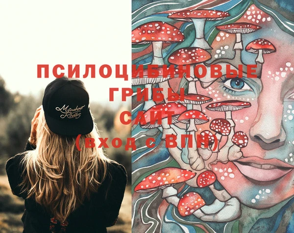 ECSTASY Абаза