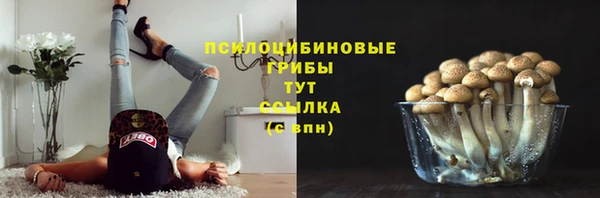 таблы Алексин