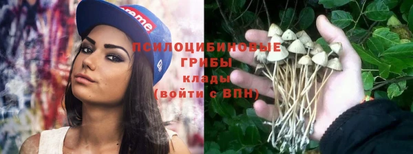 метамфетамин Новозыбков
