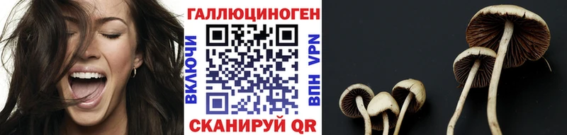 Галлюциногенные грибы мицелий  Стрежевой 